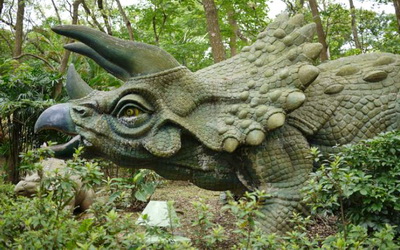 照片：「妮可」BLOG